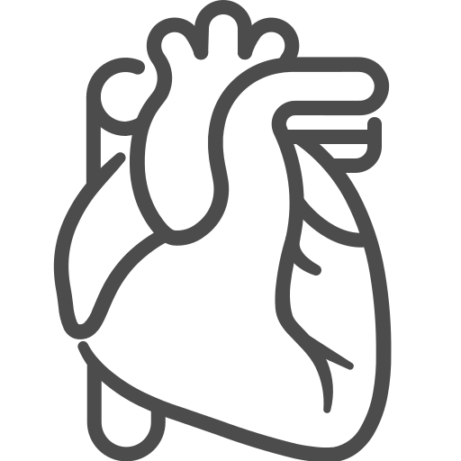 Cardiology